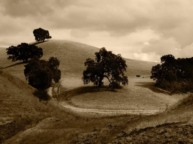 accessibility screenshot 2